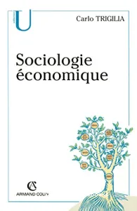 Sociologie économique