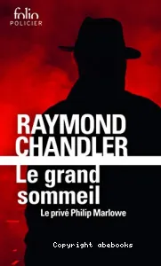 Le grand sommeil