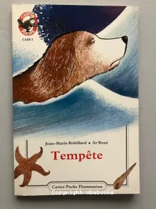 Tempête