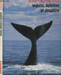 Requins, baleines et dauphins