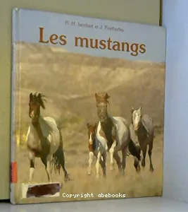 Les Mustangs