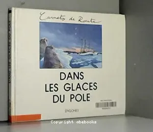 Dans les glaces du pôle