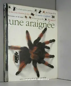 Qui suis-je ? une araignée