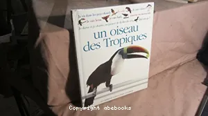 Qui suis-je ? un oiseau des tropiques