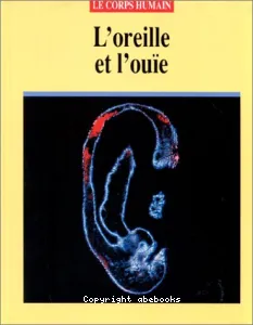 L'oreille et l'ouïe