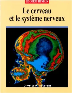 Le cerveau et le système nerveux