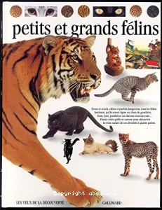 Les petits et grands félins