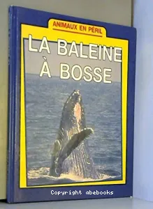 La Baleine à bosse