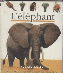 L'éléphant