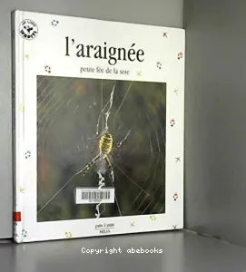 L'araignée, petite fée de la soie