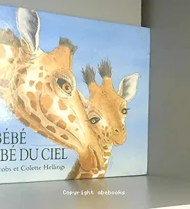 Un bébé tombé du ciel