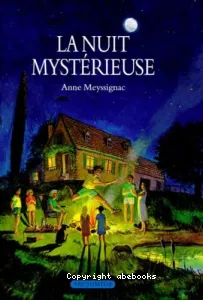 La nuit mystérieuse