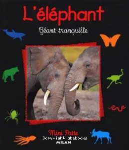 L'éléphant