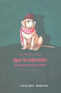 Igor le labrador