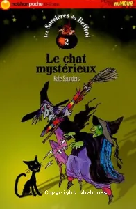 Le chat mystérieux