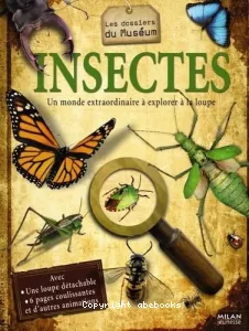 Insectes