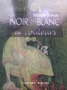 Noir et Blanc en couleurs