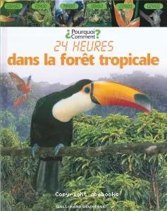 24 heures dans la forêt tropicale