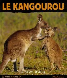 Le kangourou