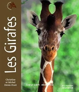 Les girafes