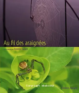 Au fil des araignées