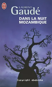 Dans la nuit du Mozambique