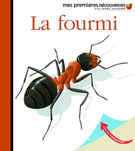 La fourmi