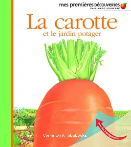 La carotte et le jardin potager