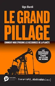 Le grand pillage