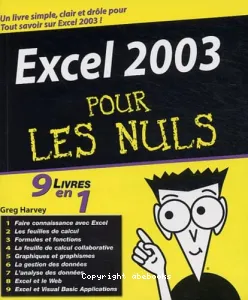 Excel 2003