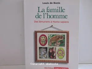 La famille de l'homme