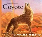 Coyote