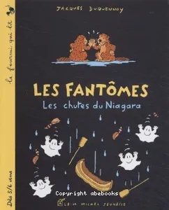 Les chutes du Niagara