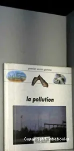 La pollution