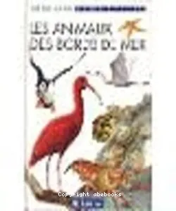 Les animaux des bords de mer