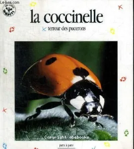 La Coccinelle, terreur des pucerons