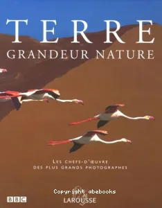 Terre grandeur nature