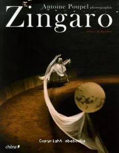 Zingaro