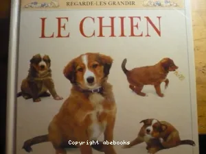 Le chien