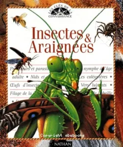 Les insectes et les araignées