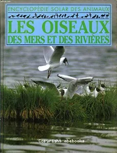 Les Oiseaux des mers et des rivières, les autruches et les kiwis