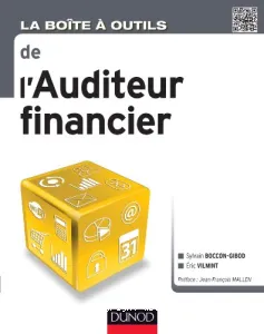 La boite à outils de l'auditeur financier