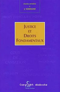 Justice et droits fondamentaux