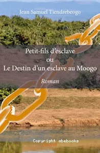 Petit-fils d'esclave ou Le destin d'un esclave au Moogo