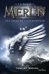 Les ailes de l'enchanteur