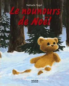 Le nounours de Noël