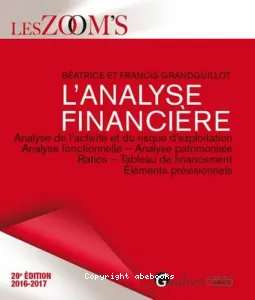 L'analyse financière