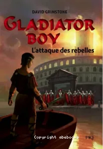 L'attaque des rebelles