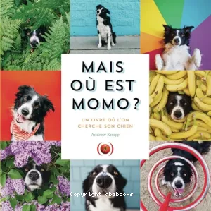 Mais où est Momo ?