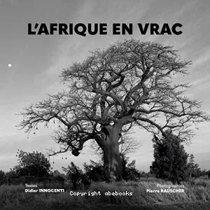 L'Afrique en vrac